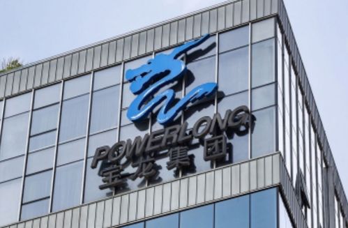 寶龍實(shí)業(yè) 未能如期支付 21寶龍01 5000萬元本金,獲30天寬限期